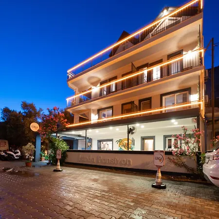 Проживание в семье Isinda *